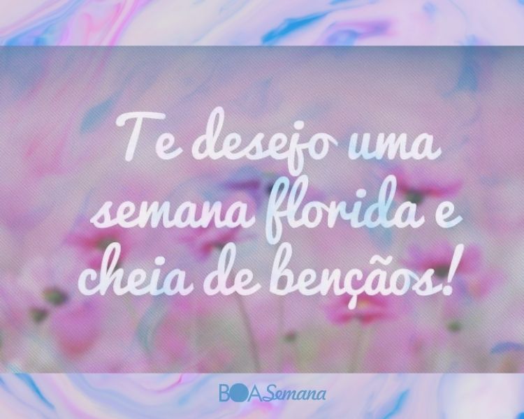 Boa noite e boa semana