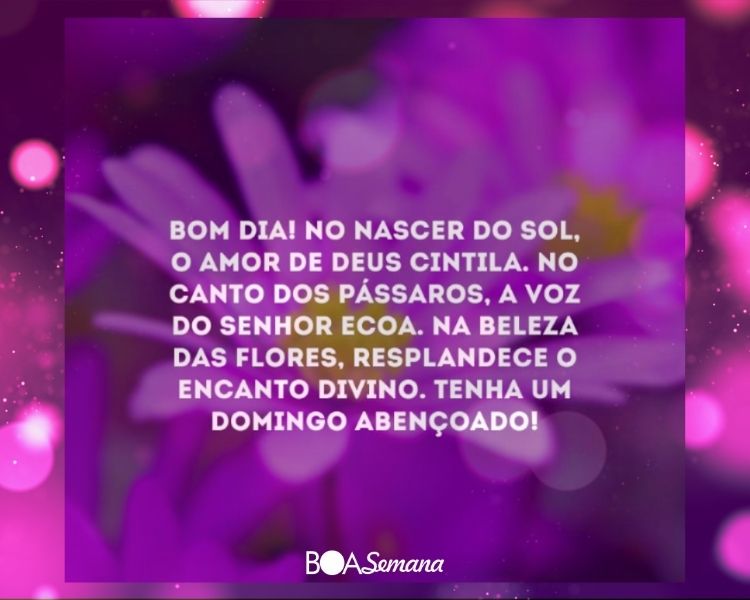 Bom dia domingo feliz