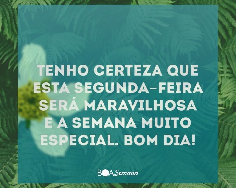 Bom dia otima segunda feira para voce