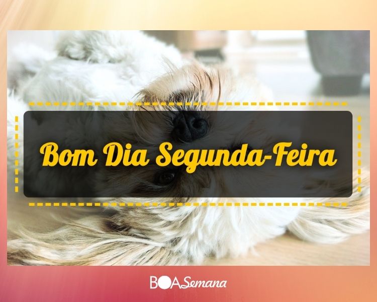Bom dia segunda feira alegre