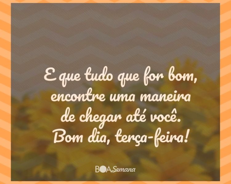 Bom dia terça feira - boa semana