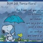Bom dia terça feira snoopy com carinho - boa semana