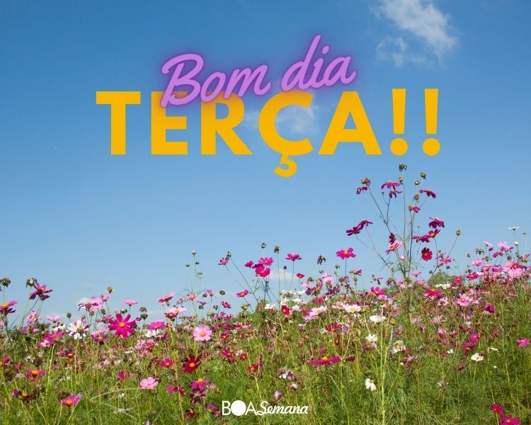 Bom dia terça