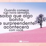 Mensagens de boa semana para ti