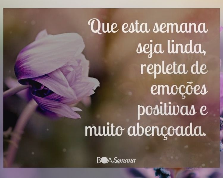 Um Boa semana para voce - boa semana