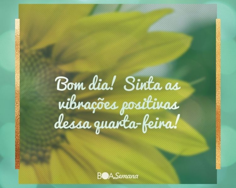 Bom dia feliz quarta feira super feliz