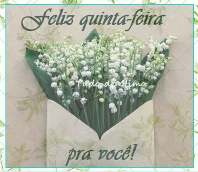 Bom dia quinta-feira seja feliz