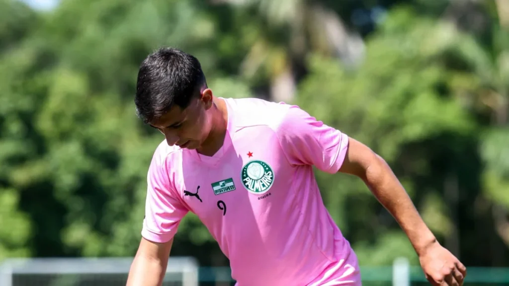Camisa Rosa do Palmeiras: Um Símbolo de Paixão e Causa